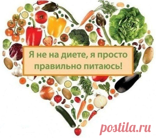 Рациональное сбалансированное питание. Основные правила | Хитрости жизни