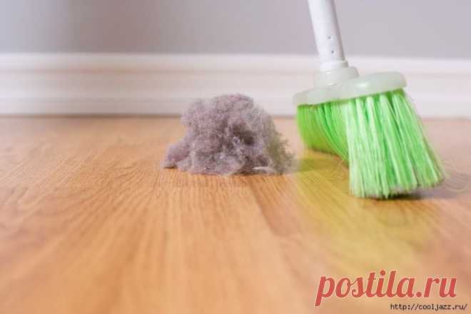 Как избавиться от пыли дома — несколько советов хозяюшкам.