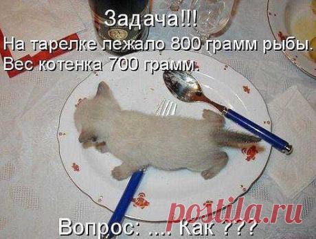 Реши задачу