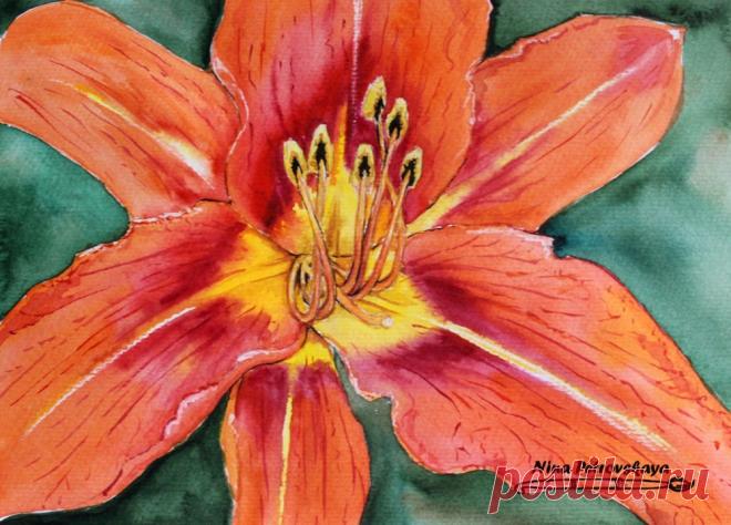 Пишем цветок акварелью - Ярмарка Мастеров - ручная работа, handmade