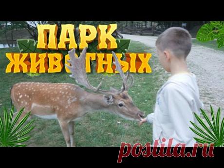 📺 Все Видео Канала ArtemLand: https://www.youtube.com/ArtemLand 
Спасибо, что смотрите мое видео! 
МОЯ ИСТОРИЯ: https://www.artemland.com
SOCIAL MEDIA: https://linktr.ee/ArtemLand