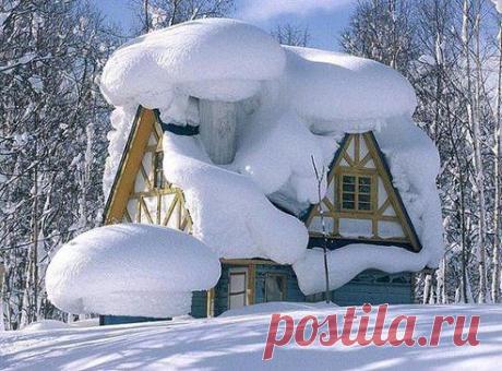 Хорошо зимой в лесу.