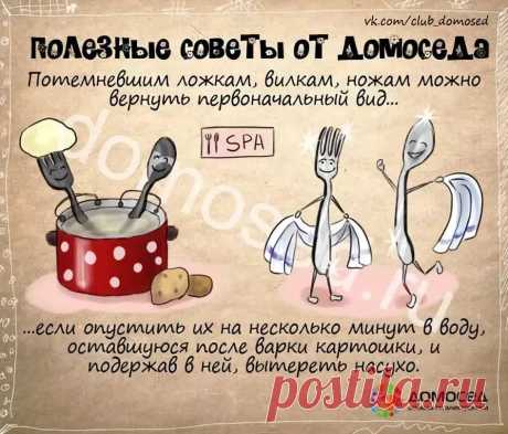 рецепты в картинках на все случаи жизни: 10 тыс изображений найдено в Яндекс.Картинках