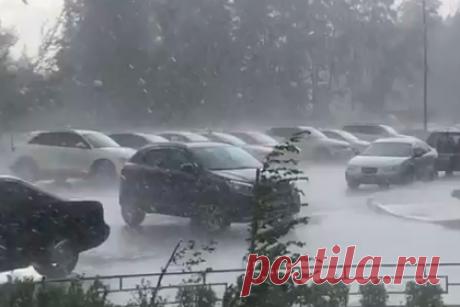 Надвигающийся на Москву ливень со шквалистым ветром сняли на видео. Очевидцы сняли на видео надвигающийся на Москву ливень с градом и шквалистым ветром. На кадрах видны затопленные улицы подмосковной Балашихи, где уже начался сильный дождь. Ранее МЧС распространило экстренное предупреждение о том, что во второй половине дня на жителей столицы и Подмосковья обрушится непогода.