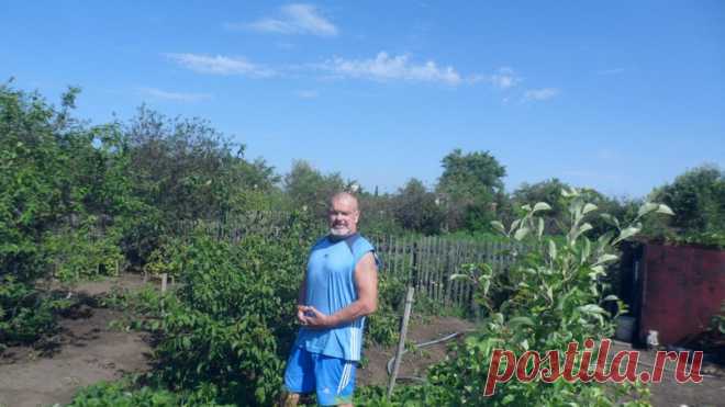 Pavel Pogodin