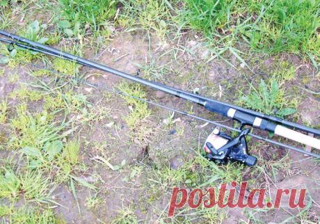 За налимом поздней осенью  

 
 
 
Рыболовные снасти для летней рыбалки уже убраны до следующего года. Предзимье… Унылая пора, очей очарованье. Прав был поэт. Казалось бы, противоречащие друг другу определения холодной осени, …