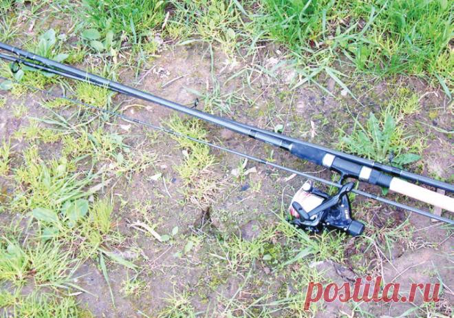 За налимом поздней осенью  

 
 
 
Рыболовные снасти для летней рыбалки уже убраны до следующего года. Предзимье… Унылая пора, очей очарованье. Прав был поэт. Казалось бы, противоречащие друг другу определения холодной осени, …