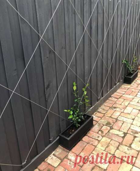 DIY Vine On A Wire