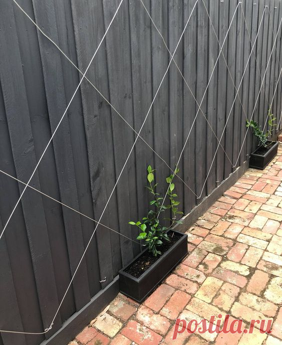 DIY Vine On A Wire