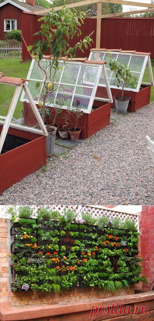 Дачные идеи.