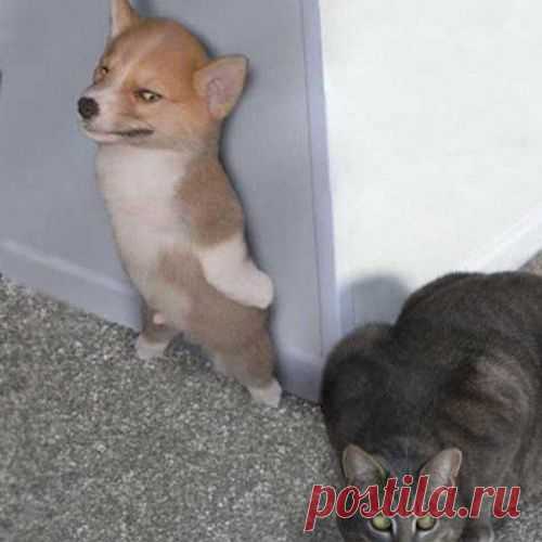 Фото, сделанные в нужный момент )