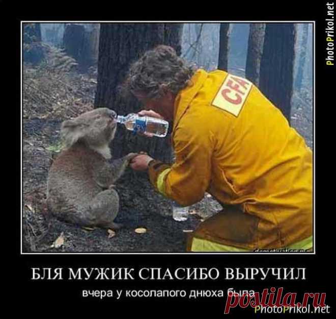 Смотреть Фото приколы, Демотиваторы и смешные фотографии на сайте - photoprikol.net » Страница 3
