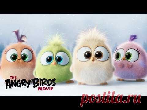 Немного новогоднего настроения ! Поздравление с наступающим от Angry Birds | Огненные новости