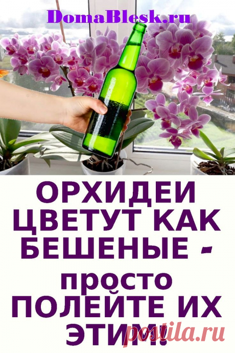 📌ОРХИДЕИ ЦВЕТУТ КАК БЕШЕНЫЕ🌺 Просто ПОЛЕЙТЕ ИХ ЭТИМ!🌺🌺 в 2024 г | Растения, Орхидеи, Выращивание орхидей