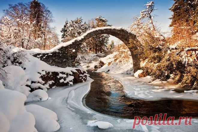 Шотландия - Google+