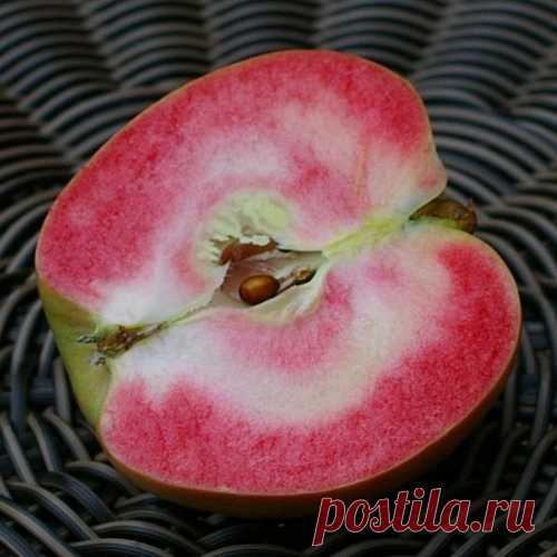 ЖЕМЧУЖНЫЕ ЯБЛОКИ