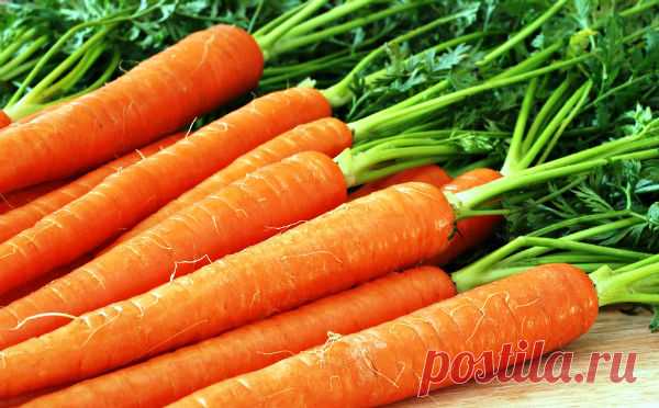 10 продуктов для красивого загара (с солнцем и без)