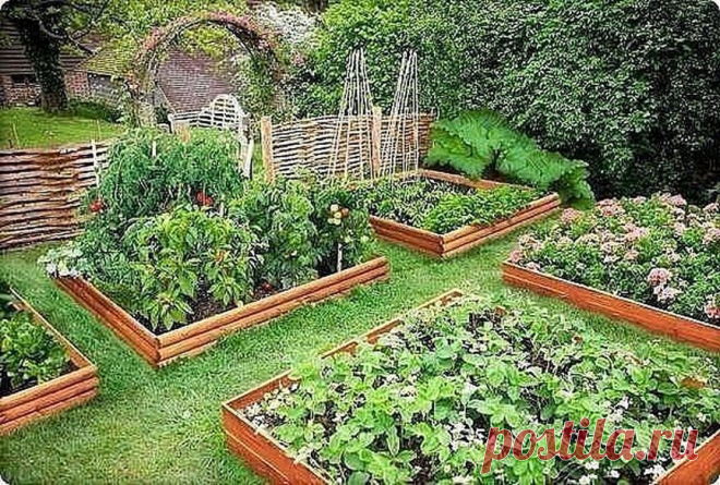 Советы огородникам и садоводам в Instagram: «Как расположить культуры на грядках, чтобы тратить меньше времени на обработку. ⠀ В этой группе мы недавно упоминали о принципах…»
