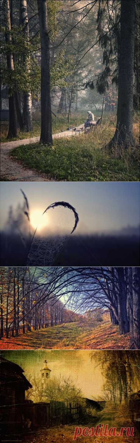 Фотограф Постников Дмитрий