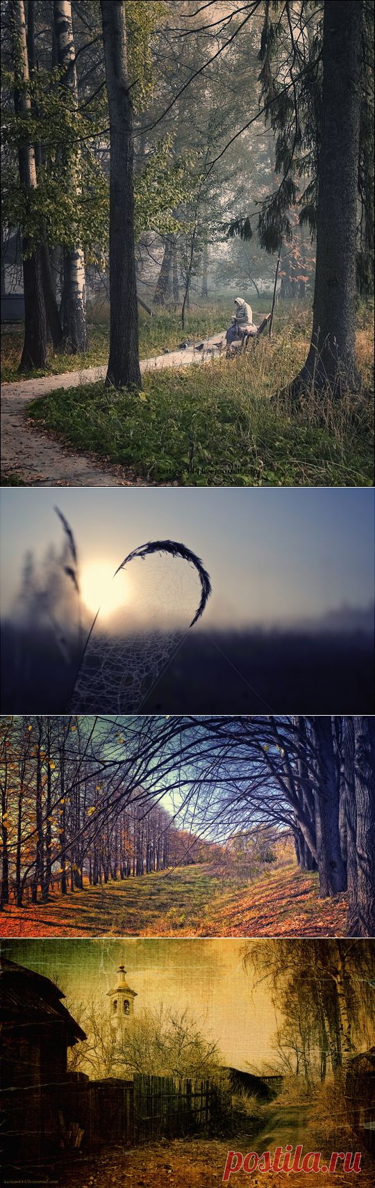 Фотограф Постников Дмитрий