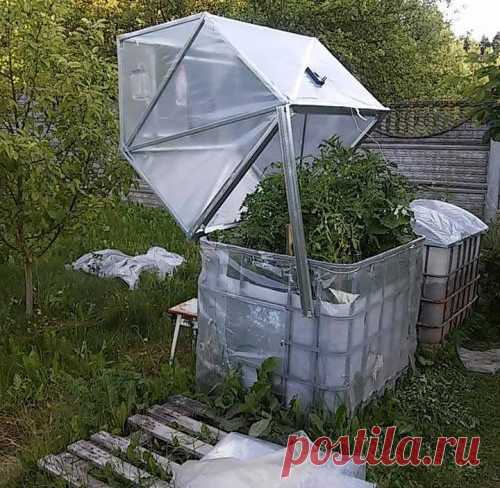 Теплица для ленивых - автоматическая тепличка своими руками
