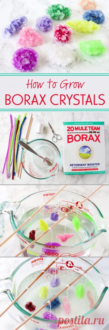 Growing Borax crystals is a fun science experiment that you can do easily and cheaply at home!