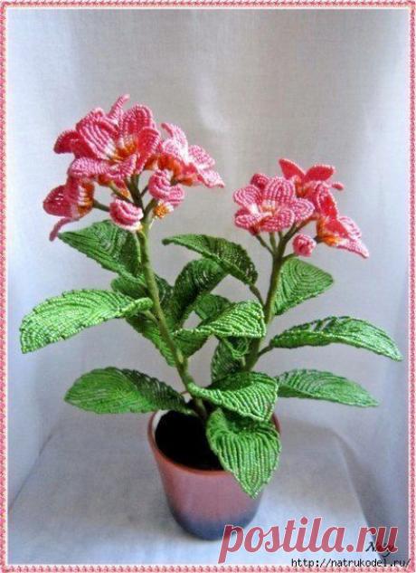 Схемы цветов из бисера. Красивый цветок из бисера | Все о рукоделии: схемы, мастер классы, идеи на сайте labhousehold.com