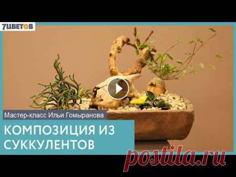 Композиция из суккулентов | Мастер-класс Ильи Гомыранова В эфире Илья Гомыранов @gomyranov! Создаём композицию из суккулентных растений в стиле Южной Африки. А вдохновила на такую работу трендовая Фокея ????...