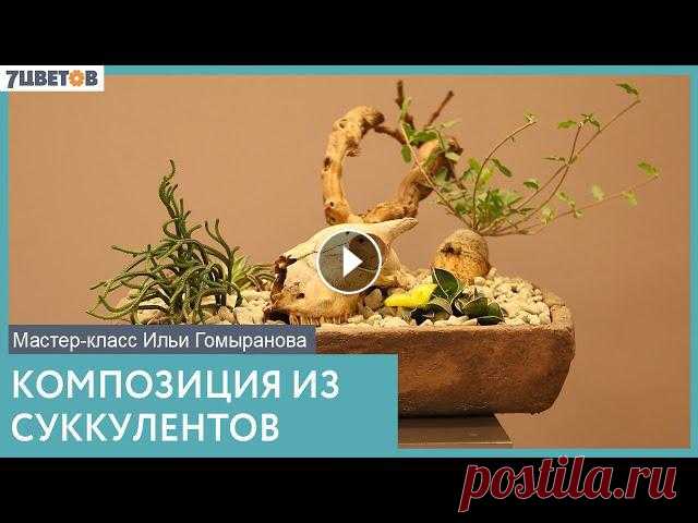 Композиция из суккулентов | Мастер-класс Ильи Гомыранова В эфире Илья Гомыранов @gomyranov! Создаём композицию из суккулентных растений в стиле Южной Африки. А вдохновила на такую работу трендовая Фокея ????...