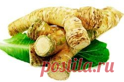 Хрен: полезные свойства