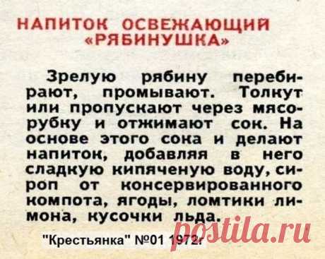 Напиток освежающий &quot;Рябинушка&quot;
