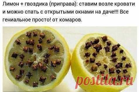 Полезные советы.