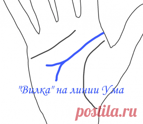 Хиромантия. «Вилка» на линии Ума. | Виктория Кутукова | Яндекс Дзен