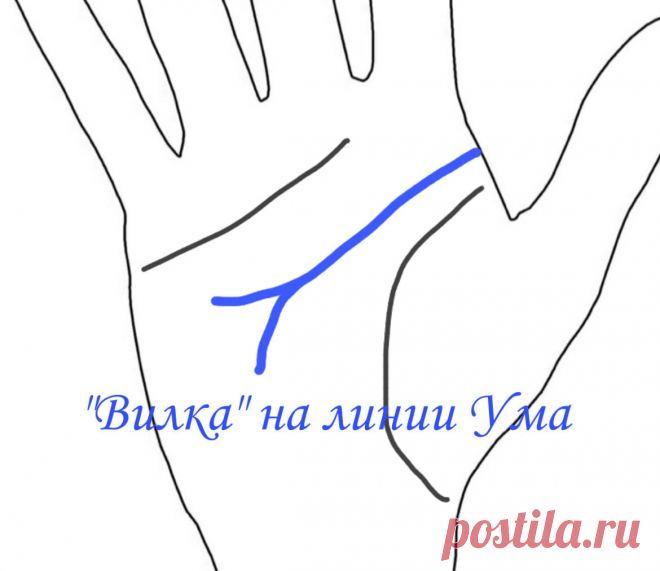 Хиромантия. «Вилка» на линии Ума. | Виктория Кутукова | Яндекс Дзен