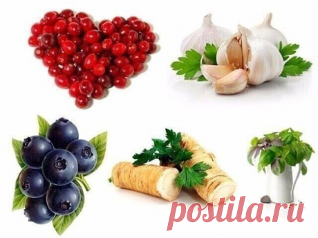 ОТ ВСЕХ БОЛЕЗНЕЙ