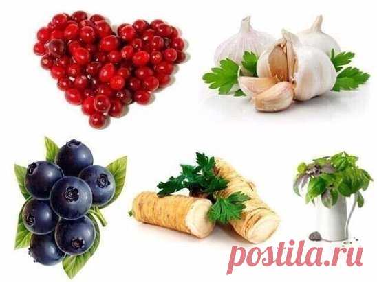 ОТ ВСЕХ БОЛЕЗНЕЙ