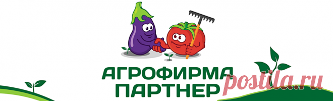 22 индетерминантных томата устойчивых к Кладоспориозу