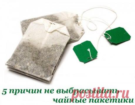 5 причин не выбрасывать чайные пакетики | Советы Народной Мудрости