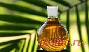 Пальмовое  - вездесущая отрава под видом еды