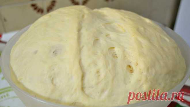 Самое вкусное и простое дрожжевое тесто для пирогов и булочек
Сегодня делюсь своим любимым рецептом дрожжевого теста. Оно всегда получается мягким, нежным и универсальным. С ним можно испечь всё, что угодно — от пирожков до булочек! Уверена, вам понравится, так что бегом за продуктами и готовим вместе! 
Ингредиенты (на два пирога):  
- Тёплое молоко — 500 мл  
- Яйца — 2 шт.  
- Сливочное масло или маргарин — 150 г  
- Свежие дрожжи — 50 г (или сухие по инструкции)  
- Сах...