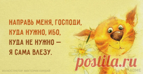 Что такое правильное отношение к жизни