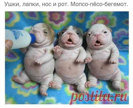 Слишком сильная, чтобы плакать.©²º¹⁴