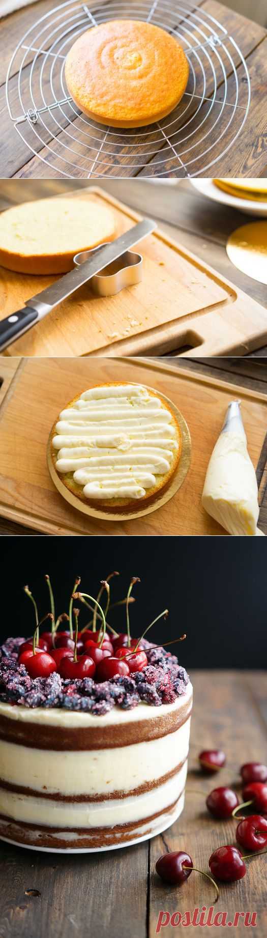 Базовый бисквитный торт с пошаговыми секретами оформления - Andy Chef - блог со вкусом и интернет-магазин