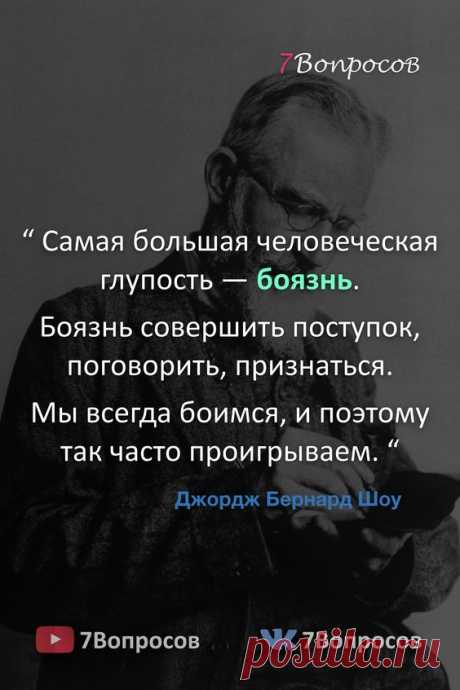 “ Самая большая человеческая глупость — боязнь. Боязнь совершить поступок, поговорить, признаться. Мы всегда боимся, и поэтому так часто проигрываем. “ © Джордж Бернард Шоу. #цитаты #афоризмы…