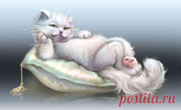 Пуси-пуси юмор для девушек и женщин. Подборка прикольных картинок и фото №ofigennaja-33390302012020 | Офигенная