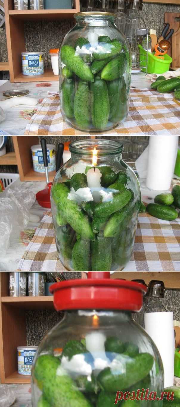 СВЕЖИЕ ОГУРЦЫ ЗИМОЙ!.