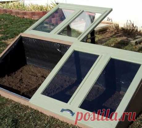Парники для дачи: 12 вариантов