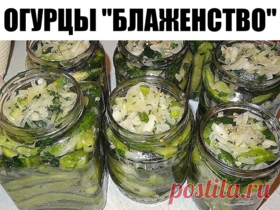 ОГУРЦЫ 