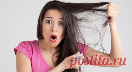 Сильно выпадают волосы? Простой рецепт решит проблему! — Домашние заботы