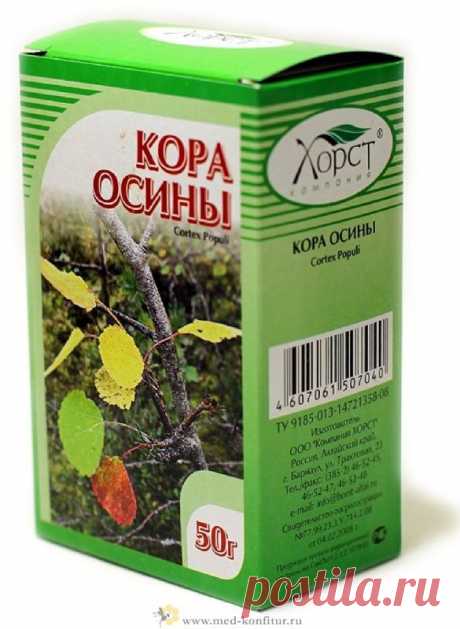 Кора осины: полезные свойства, противопоказания, рецепты для применения